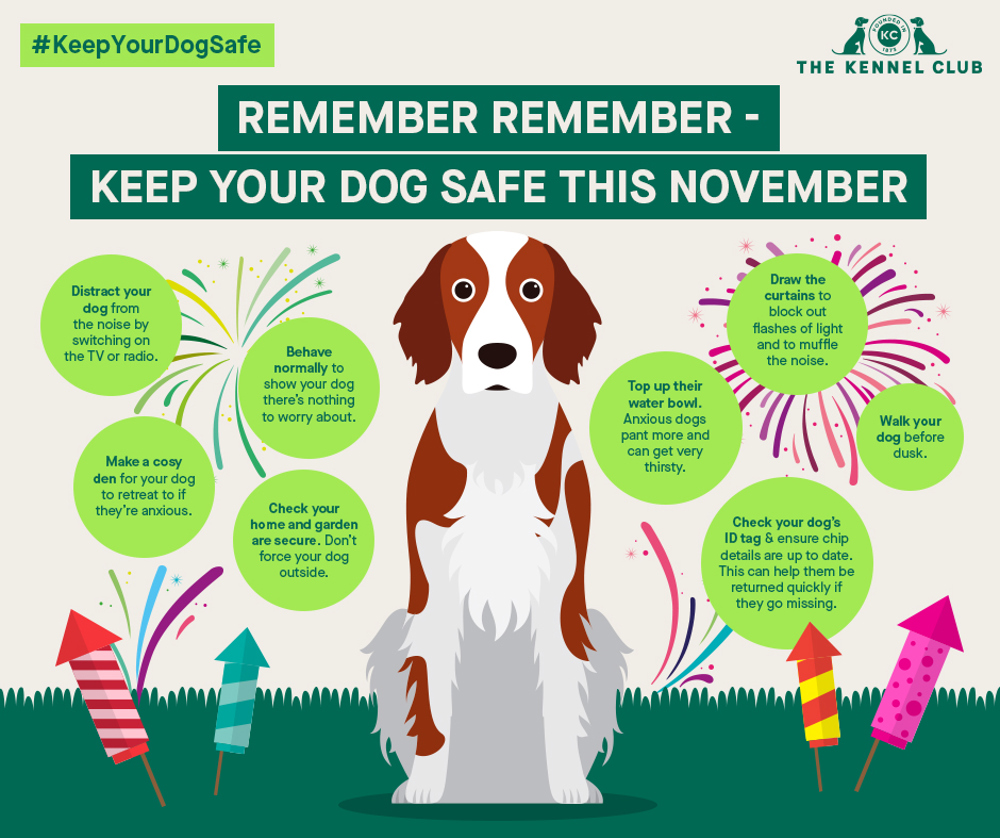 Fireworks info graphic