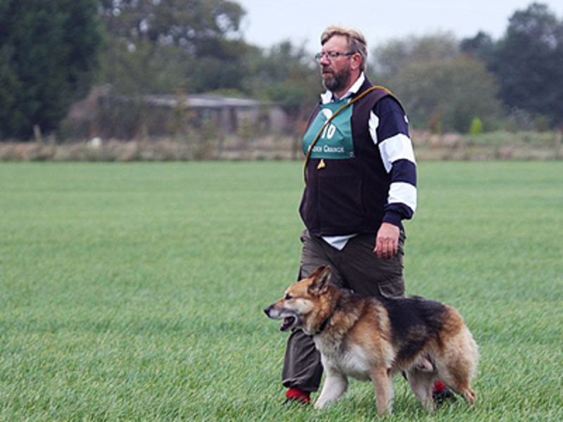 Dog walking alongside owner while out in a field