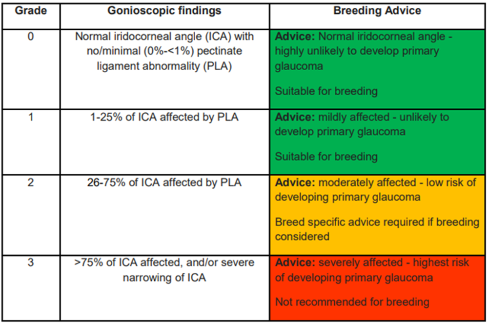Tables of finding and evidence for Gonioscopy breeding