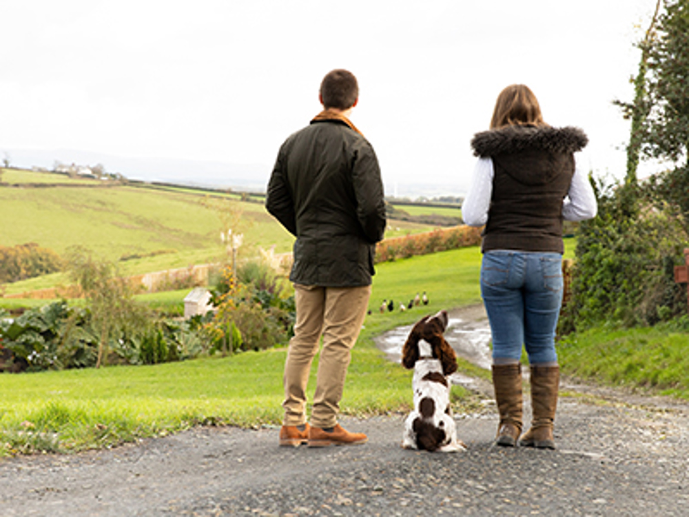 is it a legal requirement to keep a dog on a lead