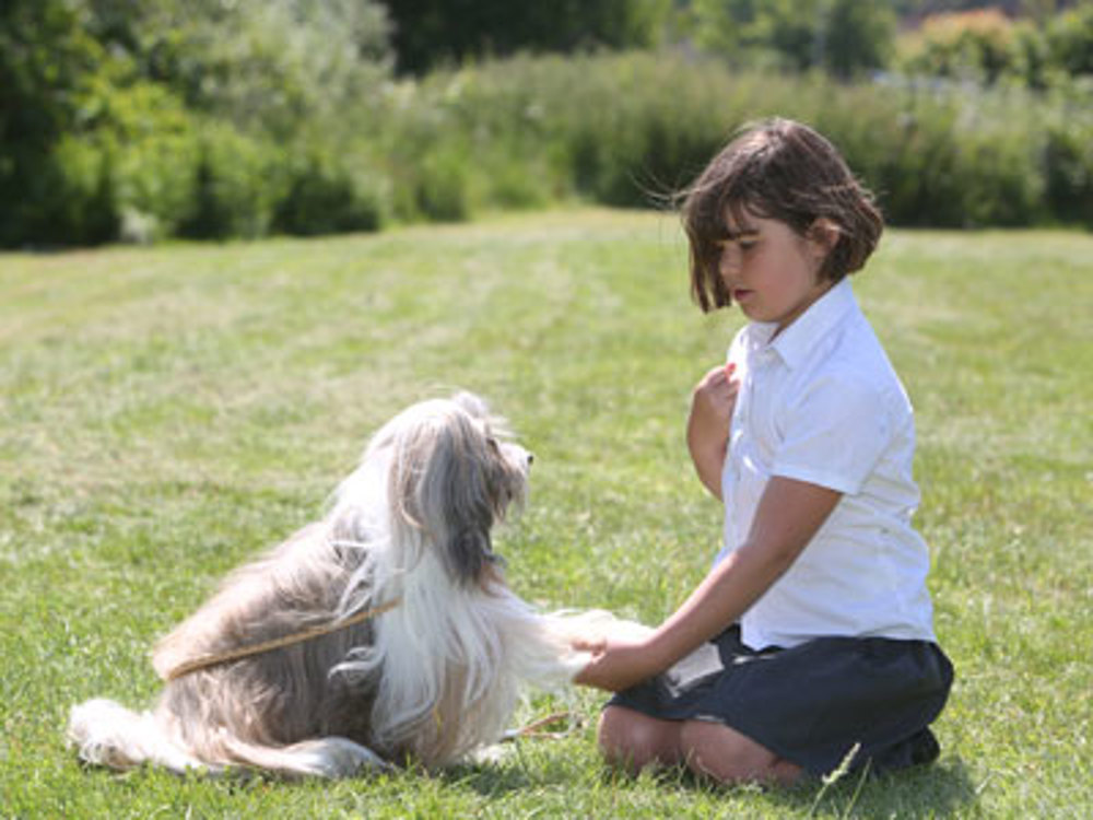 Child sat down kneeling with a dog sat giving its paw to her