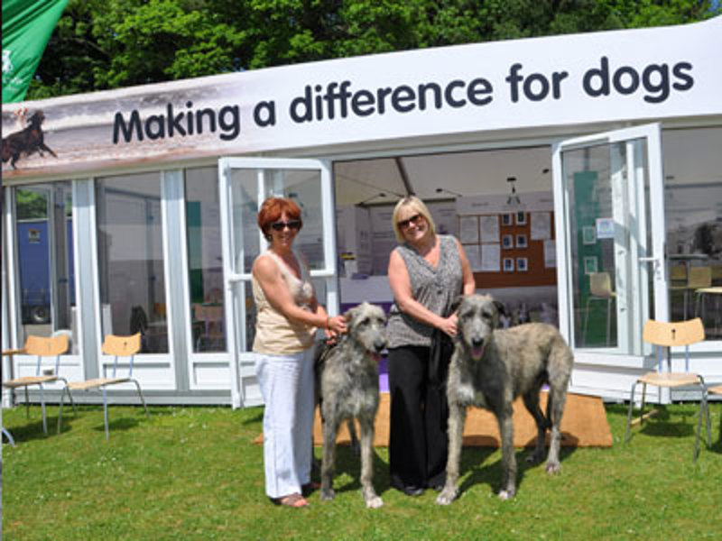 Dogs and owners stood outside Kennel Club stand