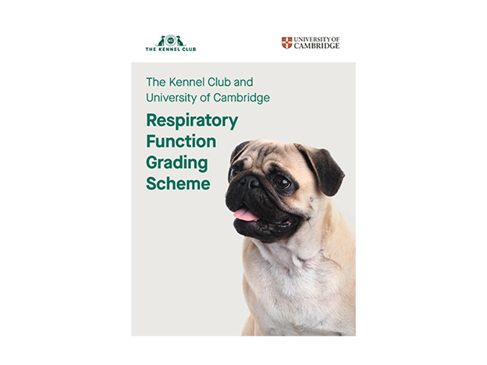 RFG Scheme Assessor Membership The Kennel Club