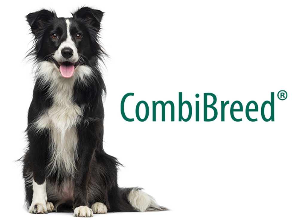 CombiBreed logo