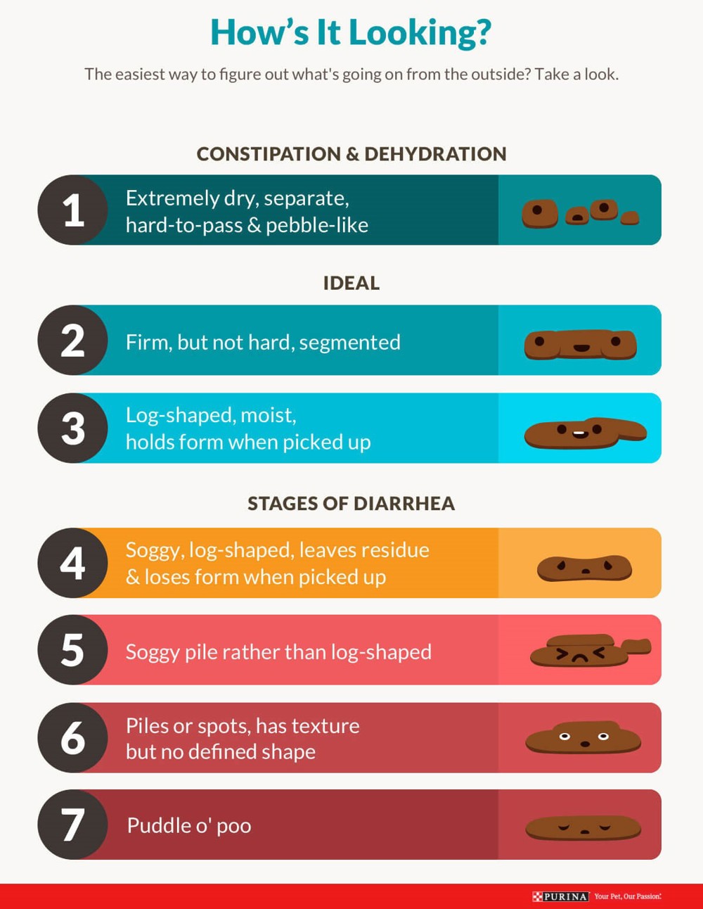 how long do puppies have diarrhea after food change