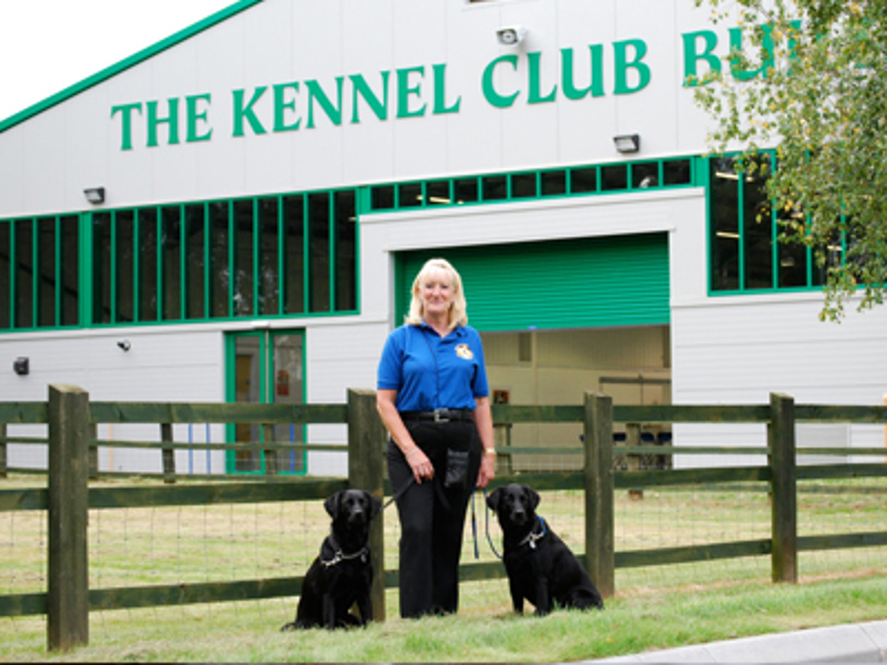 Two black dogs sat out the front of the Kennel Club building with a handler