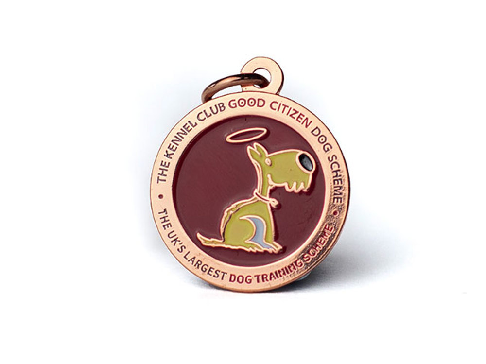 Bronze Dog Tag