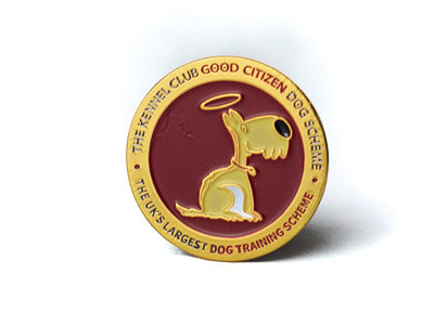 Gold Pin Badge