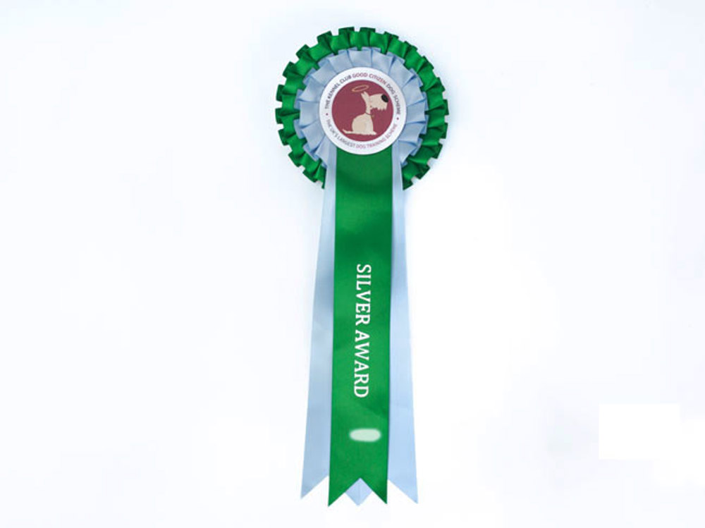 Silver Award Rosette
