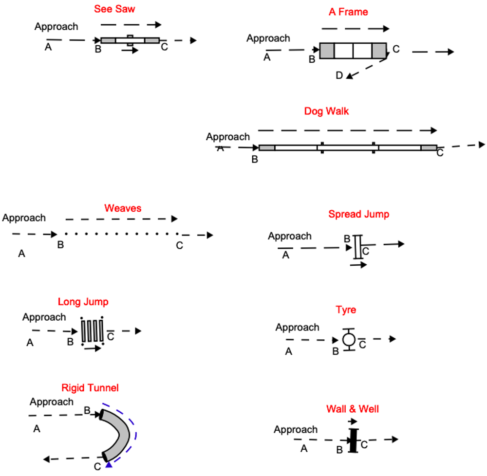 Agility course obstacles Events & Activities Kennel Club
