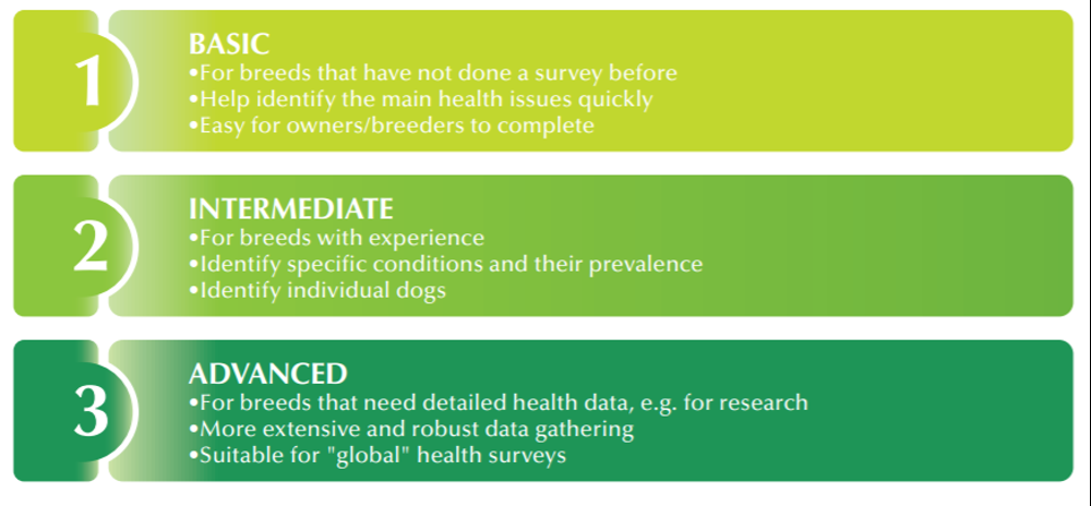 Diagram on surveys