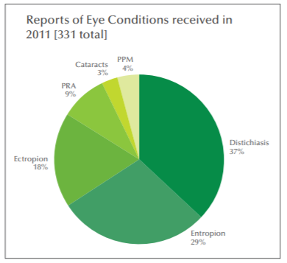 Pie chart example