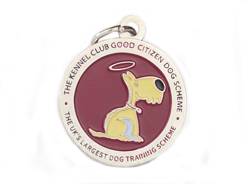 Good Citizen Dog Scheme Silver Dog Tag logo