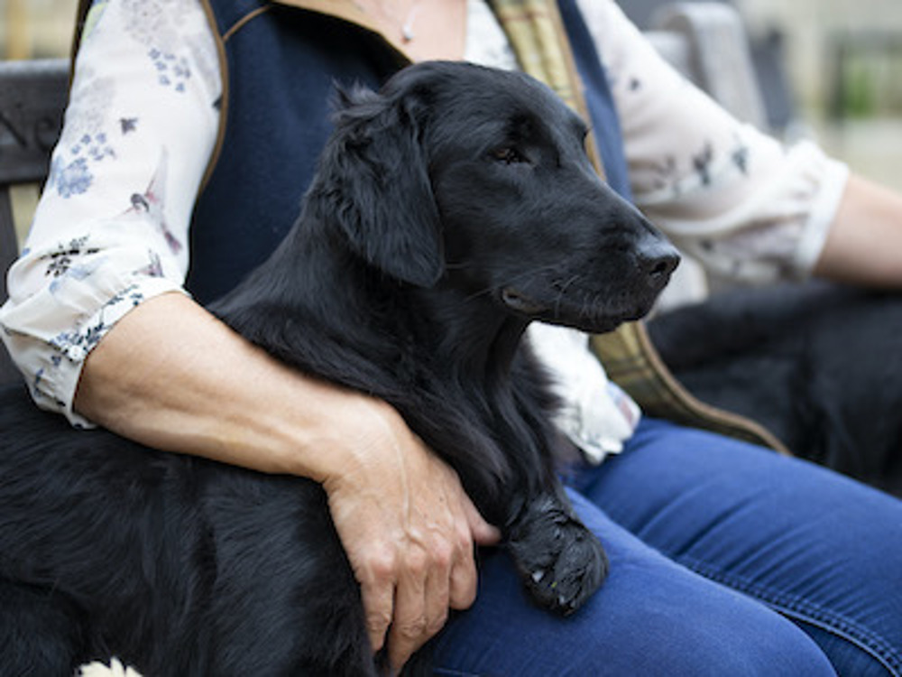 Person sitting with their arm resting on a dog