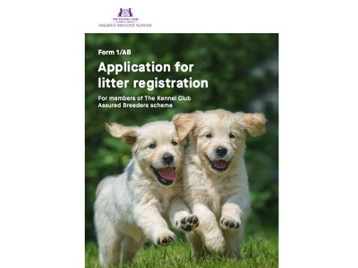 Assured breeder scheme Litter Registration