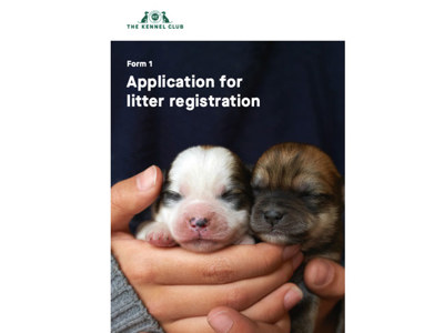 Application for litter registration - cover