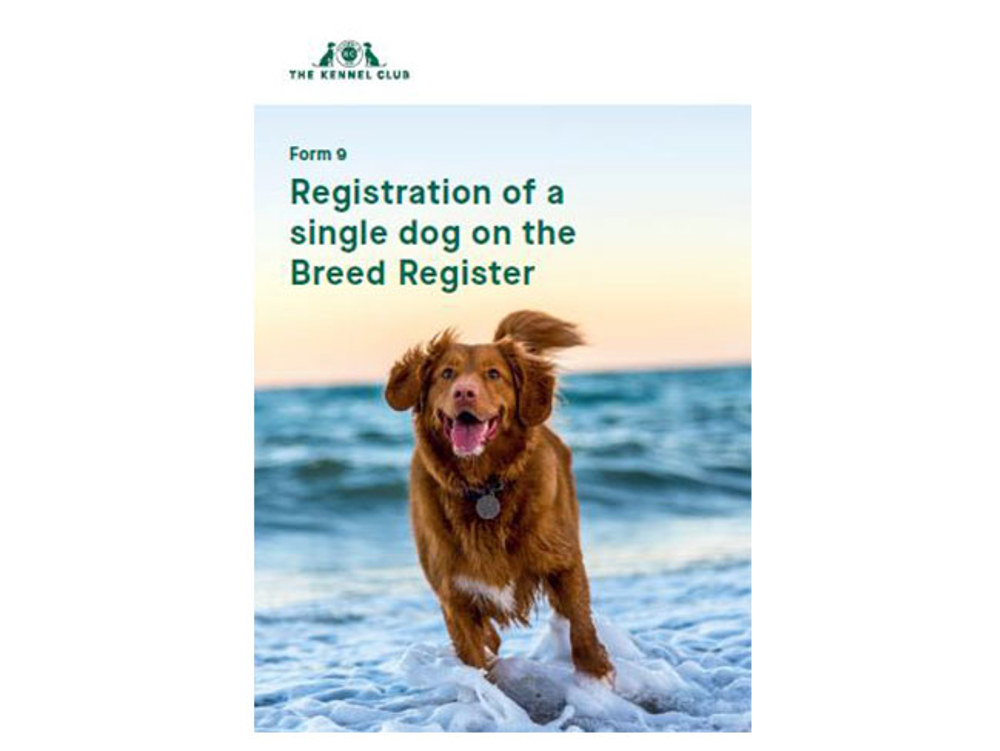 Register a dog on the breed register The Kennel Club Shop