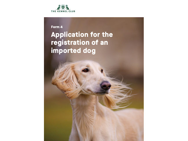Registration of an imported dog | The 