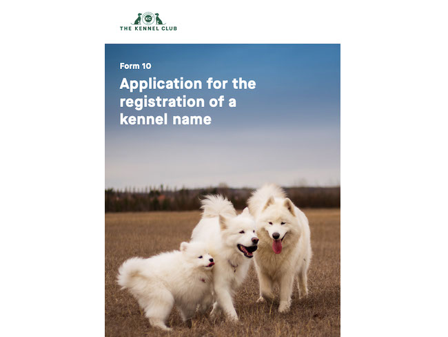 kennel club dog registration