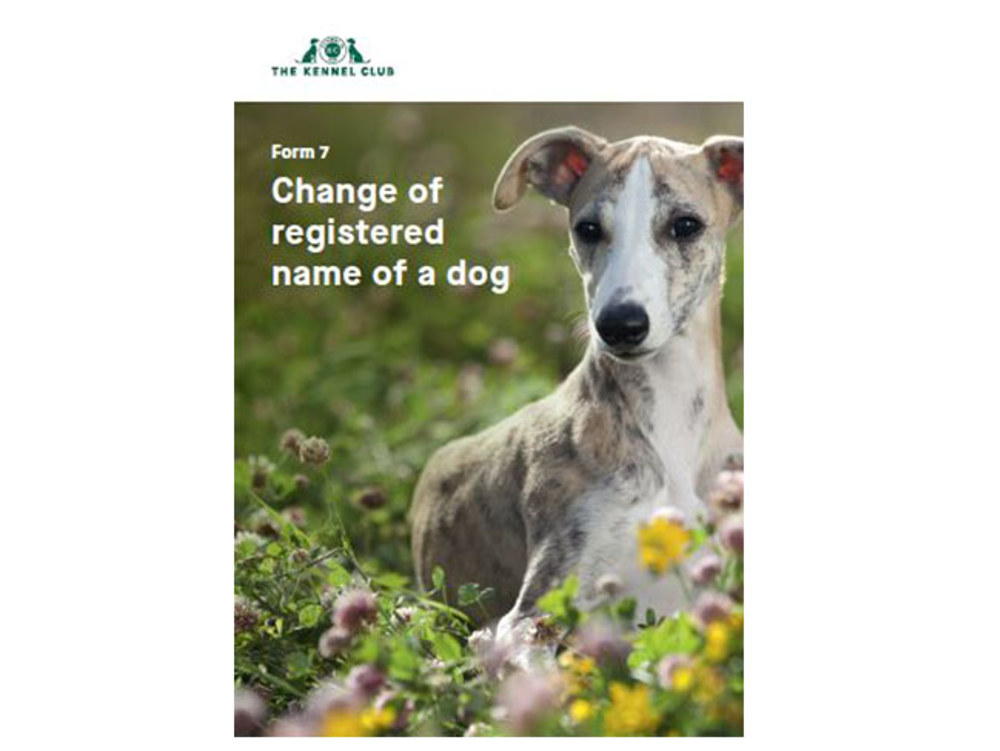 can you change a dog registered name