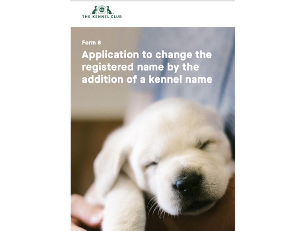 can you change a dog registered name