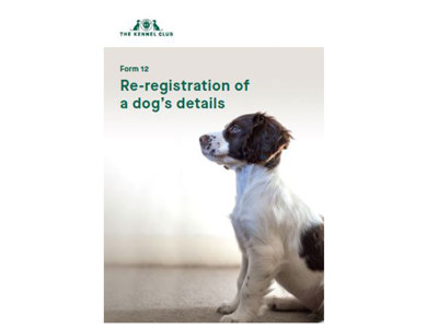what does kc registered mean when buying a dog