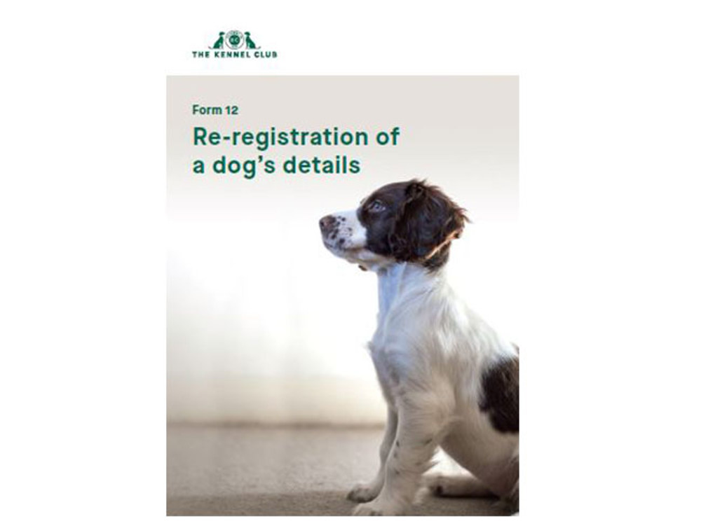 Cover for form - re-registration of a dog