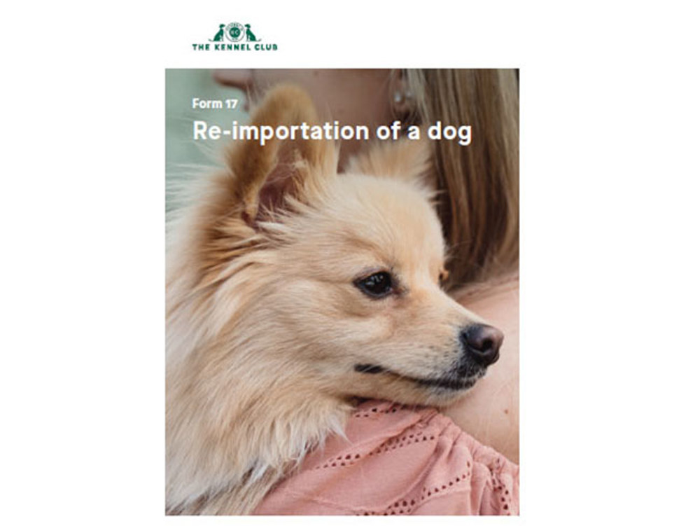 Cover for form for re-importing a dog