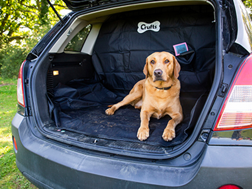 Travelling with your dog Getting a dog The Kennel Club