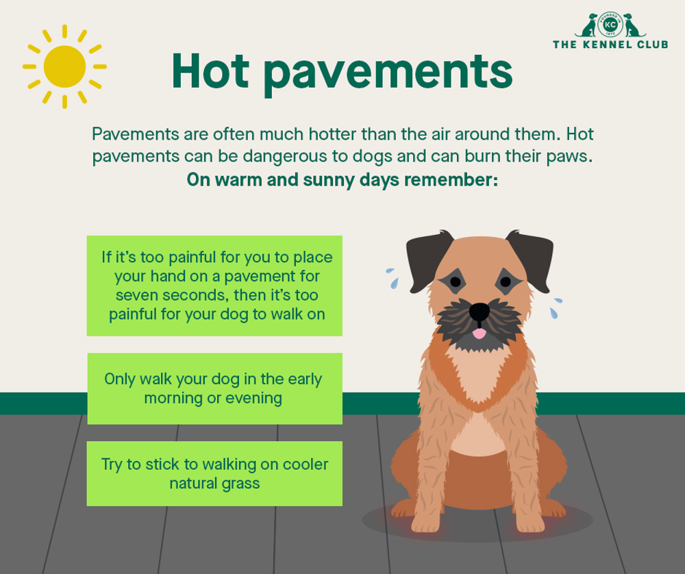 are pads safe for dogs in heat