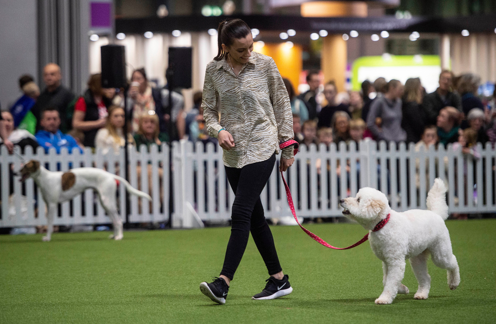 YKC crossbreed competition