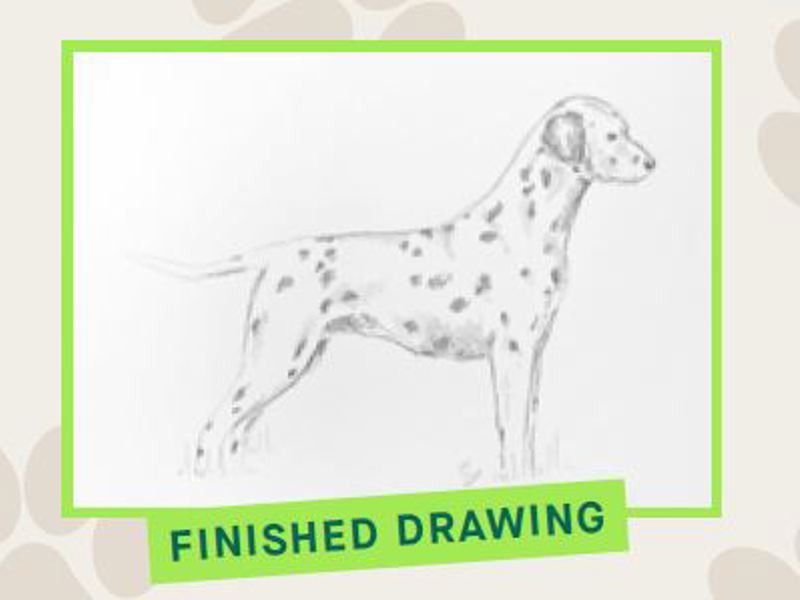 Step By Step Guide infographic