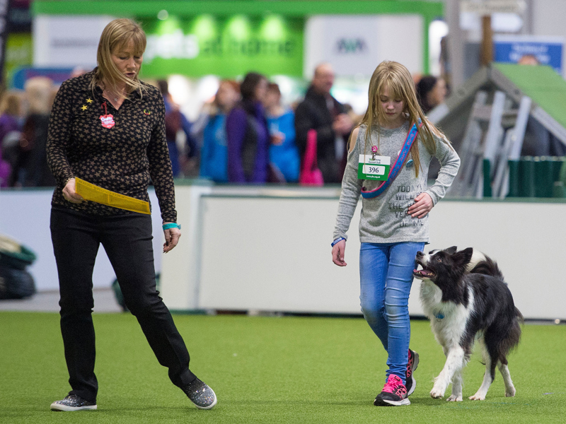 Obedience handler at Crufts