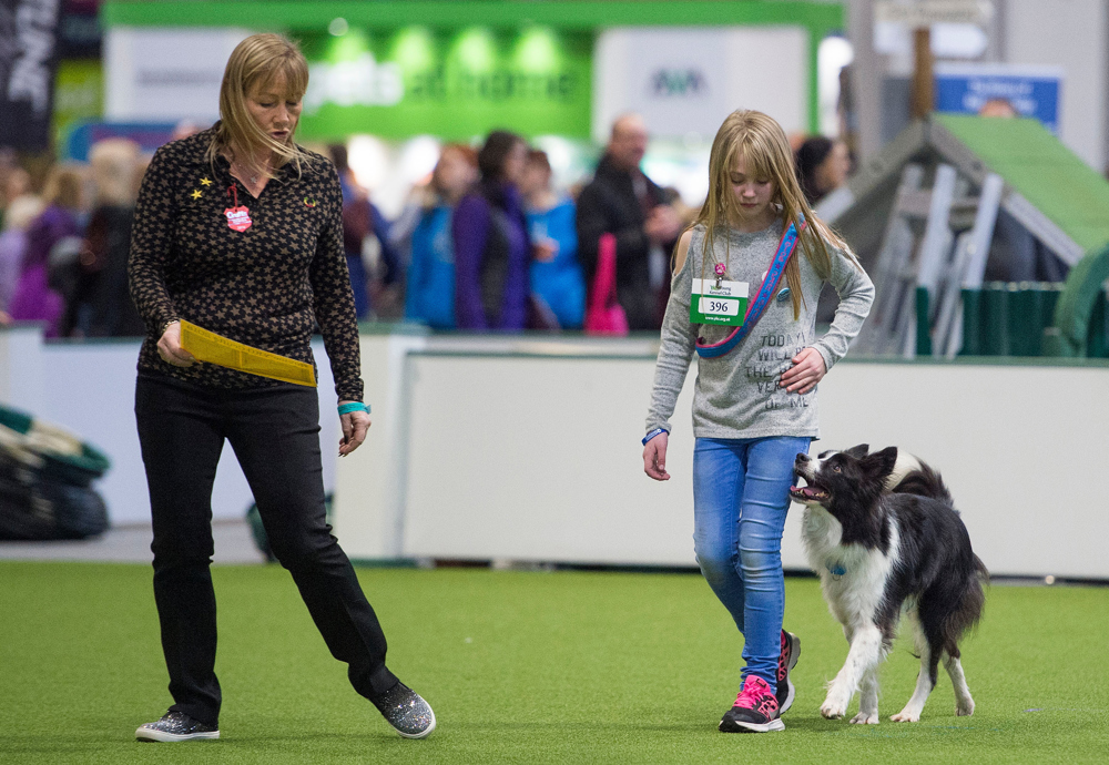 Obedience handler at Crufts