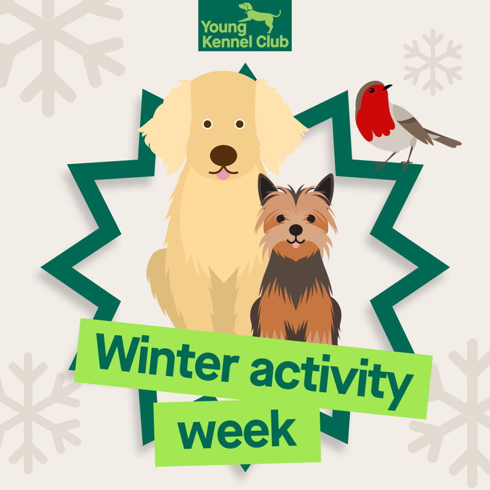 YKC Winter activity week