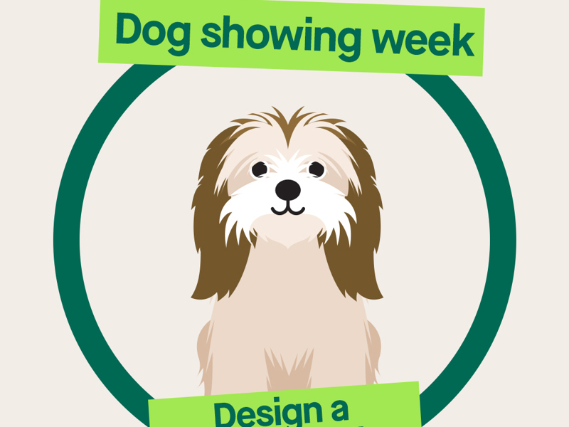 Design A Show Outfit graphic