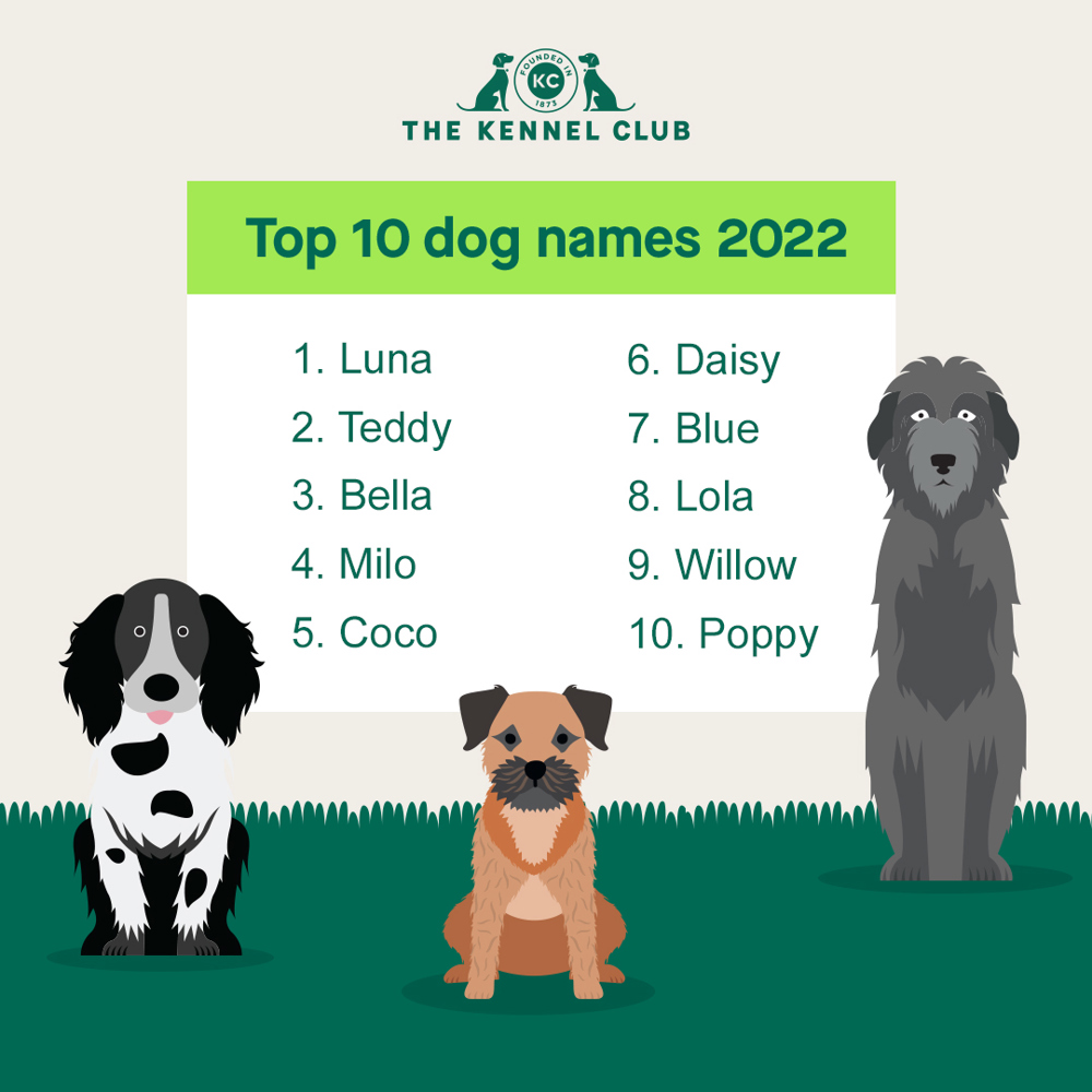 what is the most popular dog name