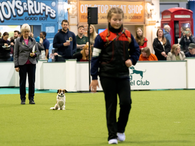 YKC Obedience at Crufts