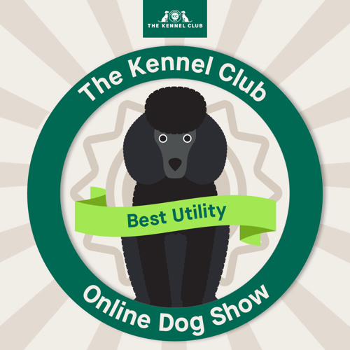 The Kennel Club Online Dog Show The Kennel Club