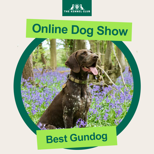 The Kennel Club Online Dog Show The Kennel Club