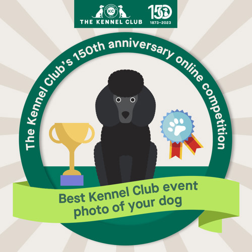 150 years online dog show Campaigns The Kennel Club