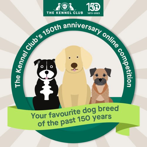 150 years online dog show Campaigns The Kennel Club