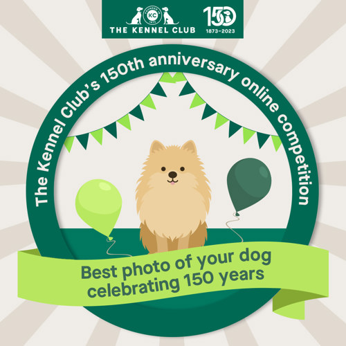150 years online dog show Campaigns The Kennel Club