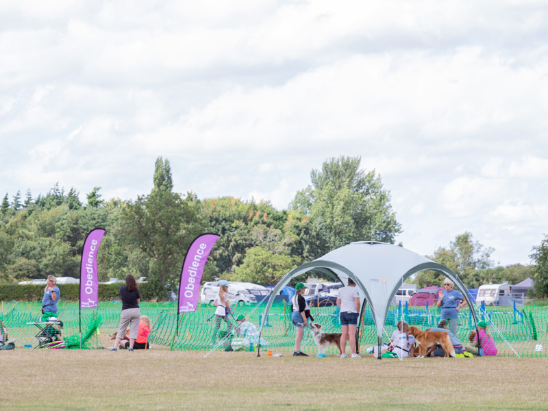 YKC members sat around agility ring