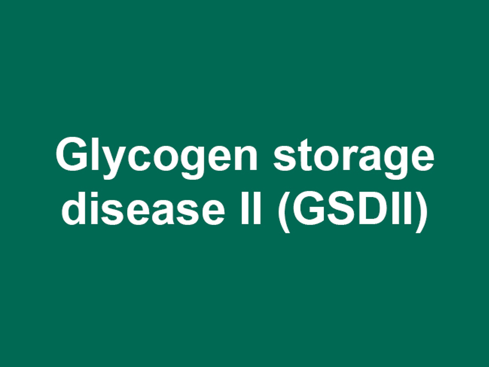 Umbraco.Cms.Infrastructure.PublishedCache.Property