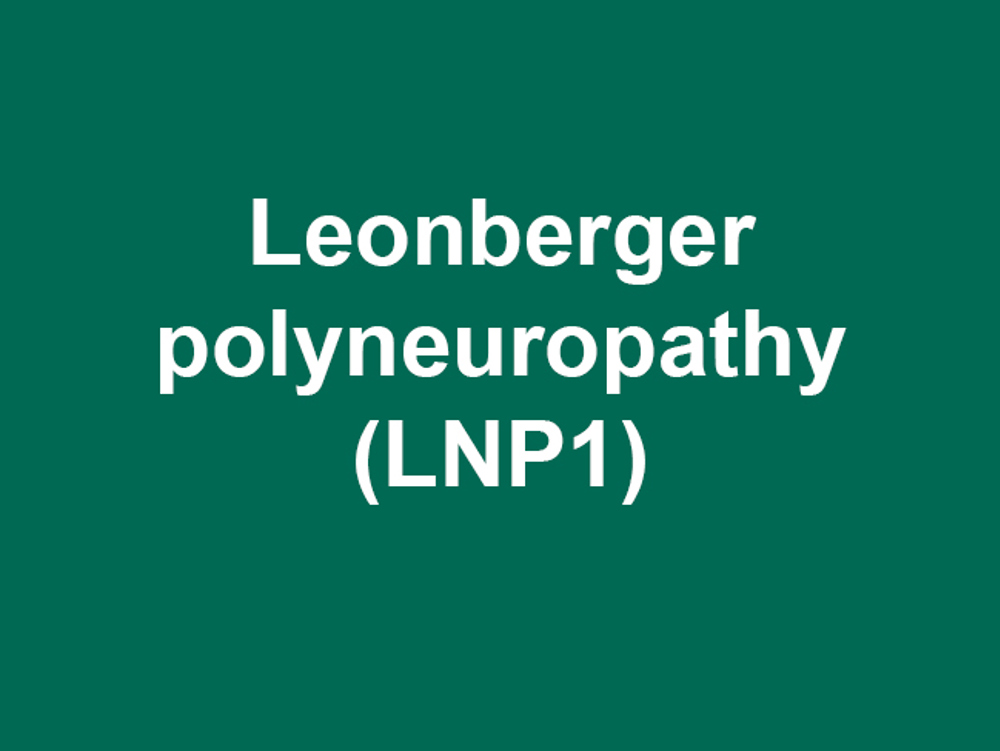 Umbraco.Cms.Infrastructure.PublishedCache.Property