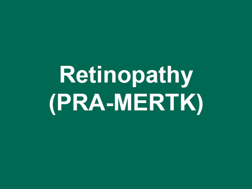 Umbraco.Cms.Infrastructure.PublishedCache.Property